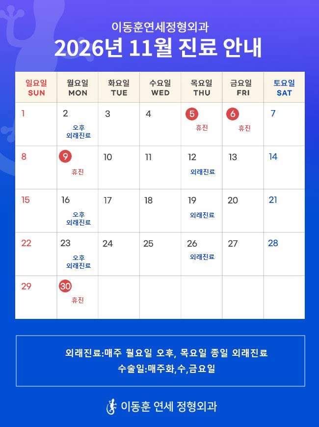 2026년11월진료